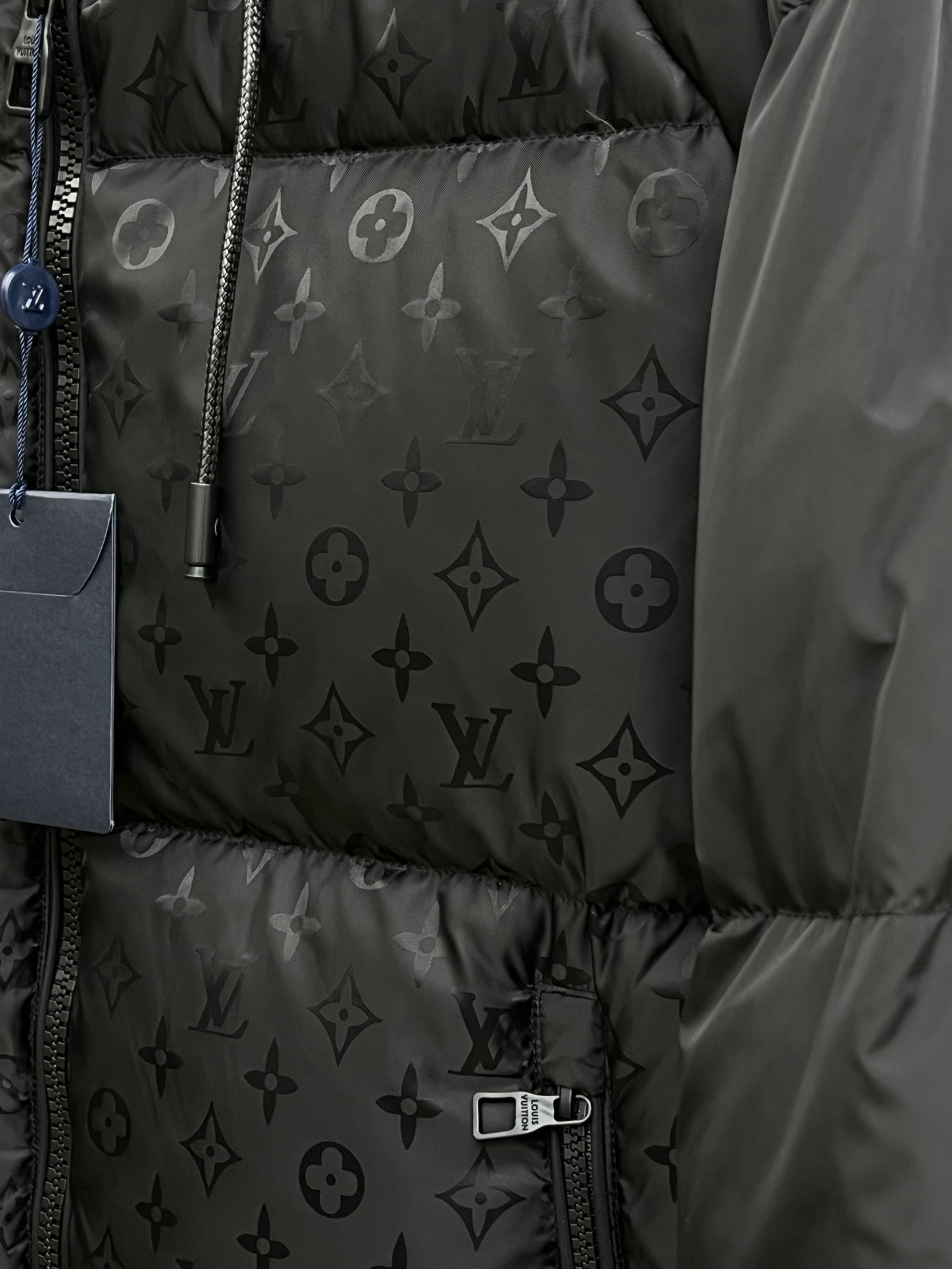 Louis Vuitton Down Jackets